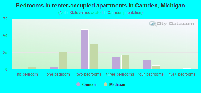 Bedrooms in renter-occupied apartments in Camden, Michigan