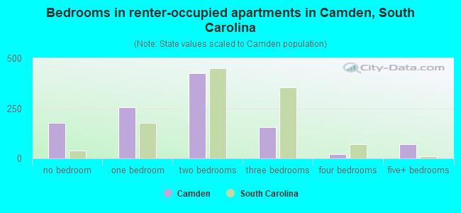 Bedrooms in renter-occupied apartments in Camden, South Carolina