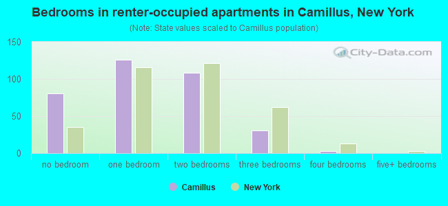 Bedrooms in renter-occupied apartments in Camillus, New York