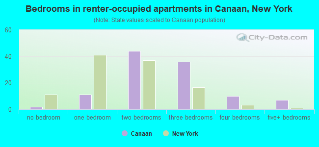Bedrooms in renter-occupied apartments in Canaan, New York