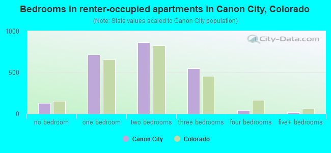 Bedrooms in renter-occupied apartments in Canon City, Colorado