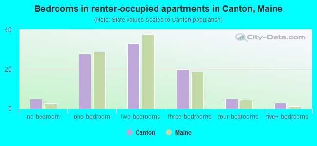 Bedrooms in renter-occupied apartments in Canton, Maine