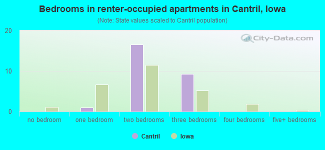 Bedrooms in renter-occupied apartments in Cantril, Iowa