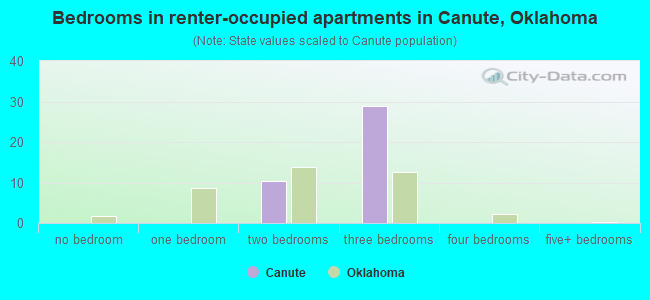 Bedrooms in renter-occupied apartments in Canute, Oklahoma