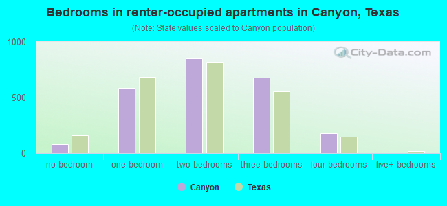 Bedrooms in renter-occupied apartments in Canyon, Texas