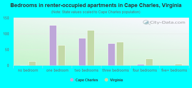 Bedrooms in renter-occupied apartments in Cape Charles, Virginia