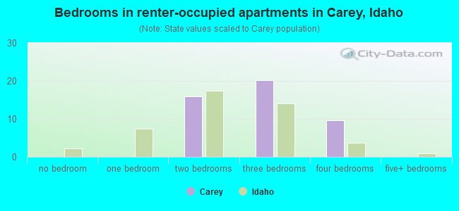 Bedrooms in renter-occupied apartments in Carey, Idaho