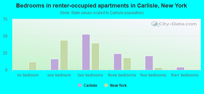 Bedrooms in renter-occupied apartments in Carlisle, New York