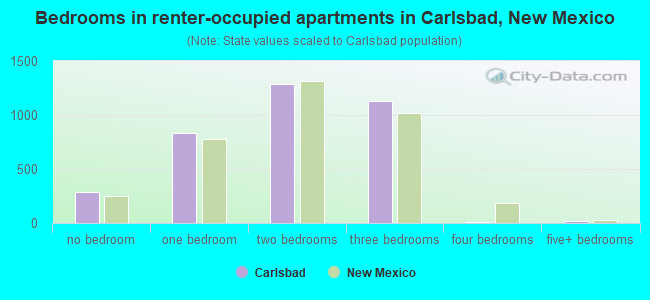Bedrooms in renter-occupied apartments in Carlsbad, New Mexico