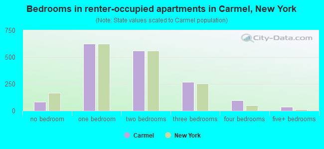 Bedrooms in renter-occupied apartments in Carmel, New York