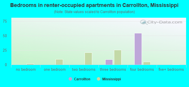 Bedrooms in renter-occupied apartments in Carrollton, Mississippi