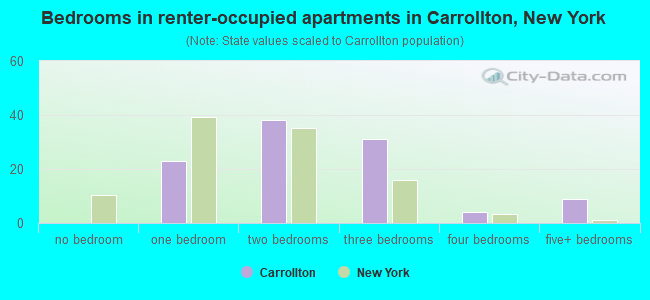 Bedrooms in renter-occupied apartments in Carrollton, New York