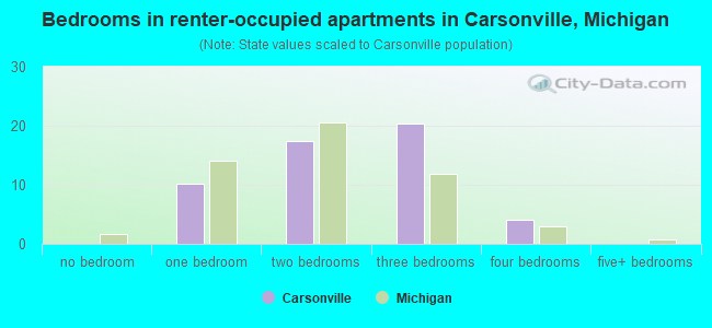 Bedrooms in renter-occupied apartments in Carsonville, Michigan