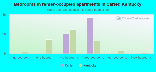 Bedrooms in renter-occupied apartments in Carter, Kentucky