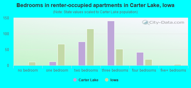 Bedrooms in renter-occupied apartments in Carter Lake, Iowa