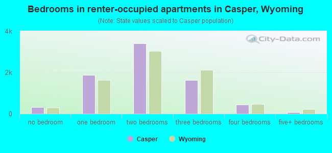 Bedrooms in renter-occupied apartments in Casper, Wyoming
