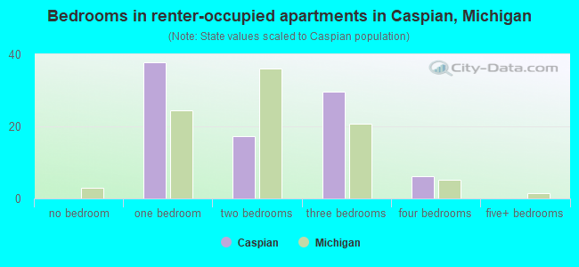 Bedrooms in renter-occupied apartments in Caspian, Michigan