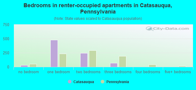 Bedrooms in renter-occupied apartments in Catasauqua, Pennsylvania