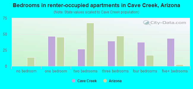 Bedrooms in renter-occupied apartments in Cave Creek, Arizona