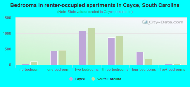 Bedrooms in renter-occupied apartments in Cayce, South Carolina