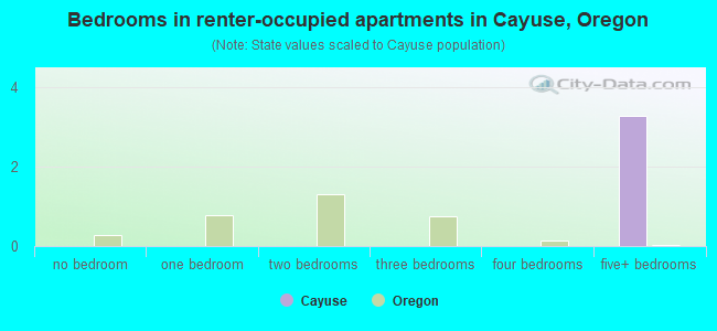 Bedrooms in renter-occupied apartments in Cayuse, Oregon