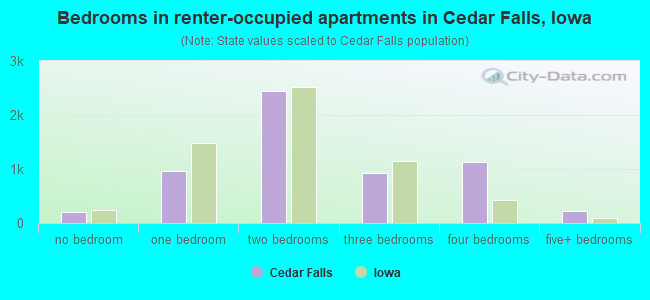 Bedrooms in renter-occupied apartments in Cedar Falls, Iowa