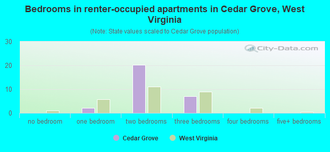Bedrooms in renter-occupied apartments in Cedar Grove, West Virginia