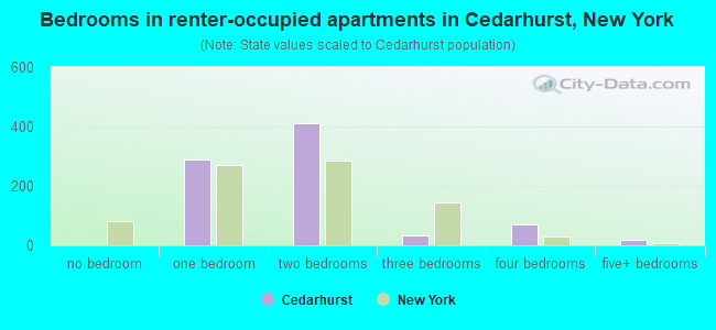 Bedrooms in renter-occupied apartments in Cedarhurst, New York