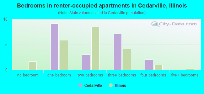 Bedrooms in renter-occupied apartments in Cedarville, Illinois