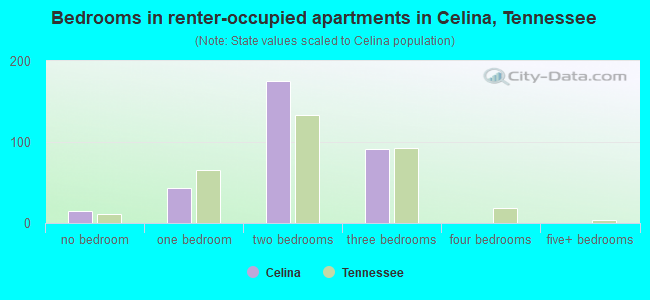 Bedrooms in renter-occupied apartments in Celina, Tennessee