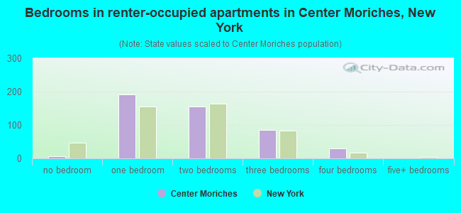 Bedrooms in renter-occupied apartments in Center Moriches, New York