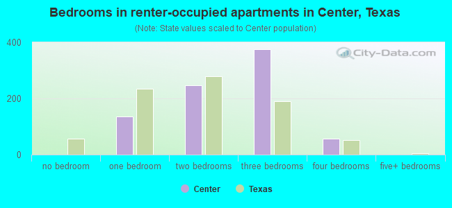 Bedrooms in renter-occupied apartments in Center, Texas