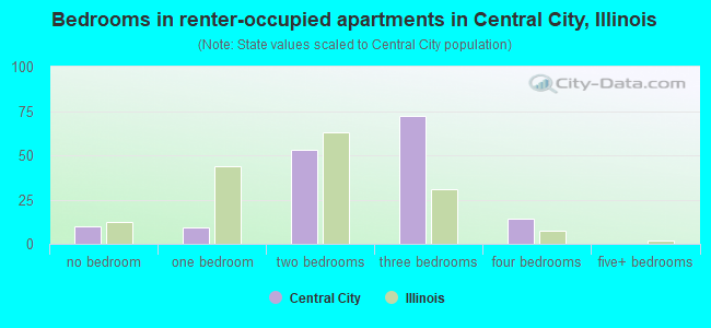 Bedrooms in renter-occupied apartments in Central City, Illinois