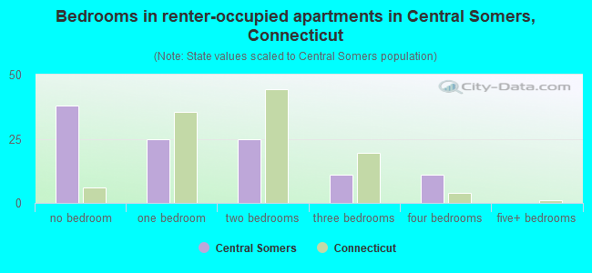 Bedrooms in renter-occupied apartments in Central Somers, Connecticut