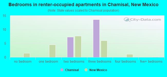 Bedrooms in renter-occupied apartments in Chamisal, New Mexico