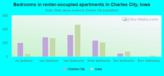 Bedrooms in renter-occupied apartments in Charles City, Iowa