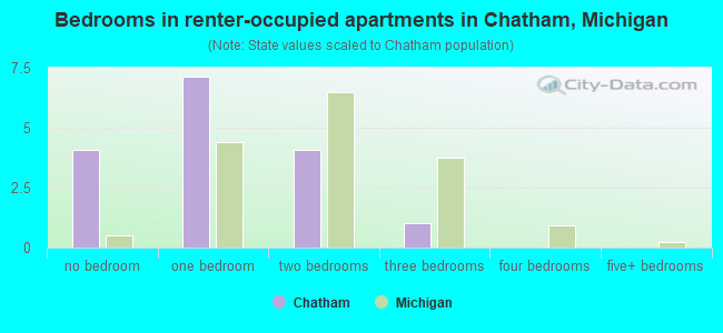 Bedrooms in renter-occupied apartments in Chatham, Michigan