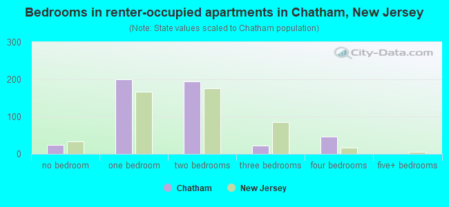 Bedrooms in renter-occupied apartments in Chatham, New Jersey