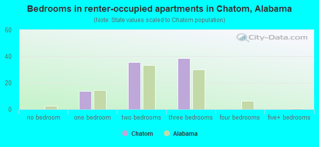 Bedrooms in renter-occupied apartments in Chatom, Alabama