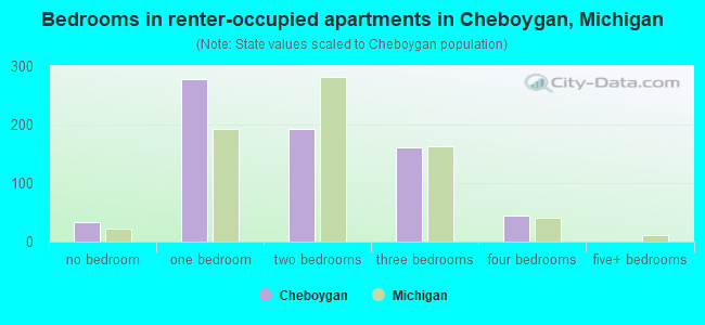 Bedrooms in renter-occupied apartments in Cheboygan, Michigan
