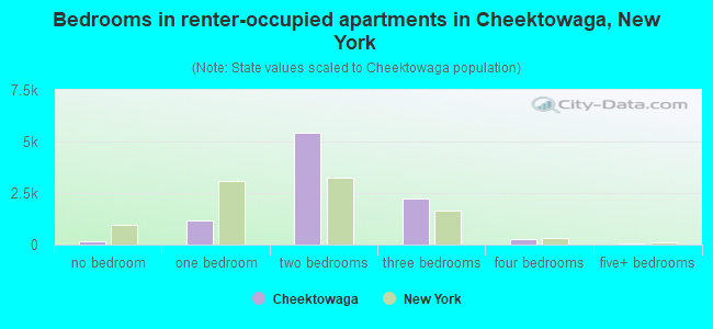 Bedrooms in renter-occupied apartments in Cheektowaga, New York