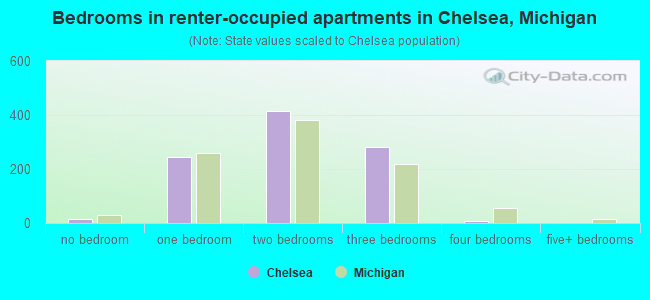 Bedrooms in renter-occupied apartments in Chelsea, Michigan