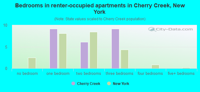 Bedrooms in renter-occupied apartments in Cherry Creek, New York
