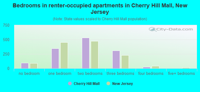 Bedrooms in renter-occupied apartments in Cherry Hill Mall, New Jersey