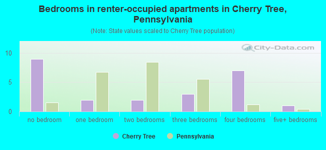 Bedrooms in renter-occupied apartments in Cherry Tree, Pennsylvania