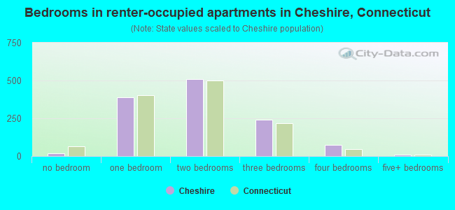 Bedrooms in renter-occupied apartments in Cheshire, Connecticut