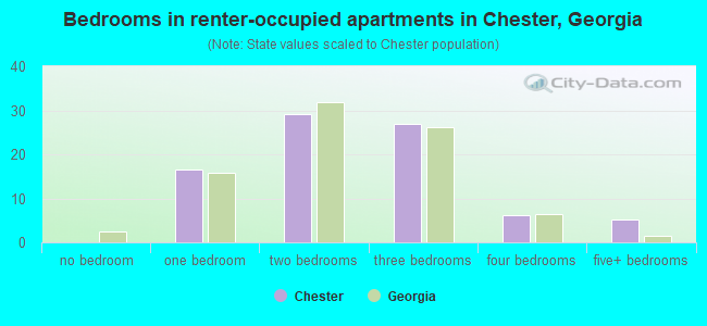 Bedrooms in renter-occupied apartments in Chester, Georgia