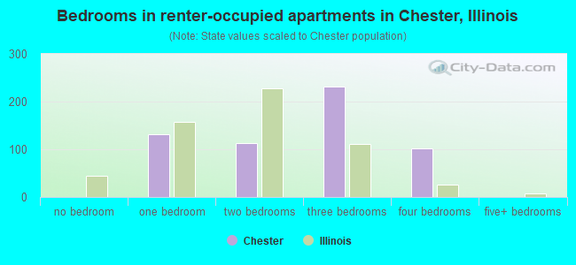 Bedrooms in renter-occupied apartments in Chester, Illinois