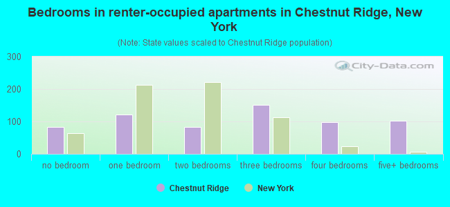 Bedrooms in renter-occupied apartments in Chestnut Ridge, New York