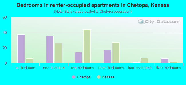 Bedrooms in renter-occupied apartments in Chetopa, Kansas